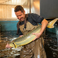 Caviar Farm Tour
